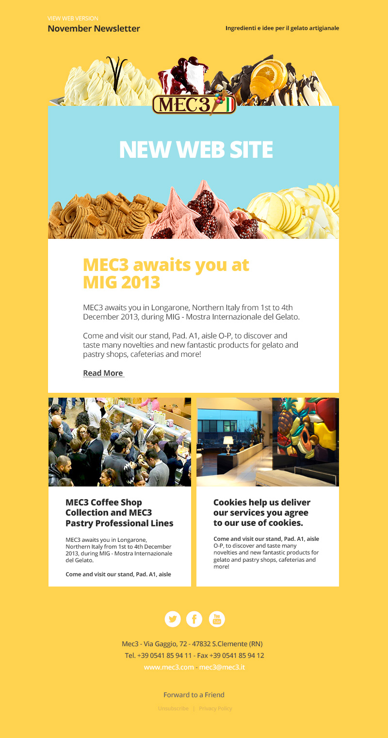 MEC3 email campaign template